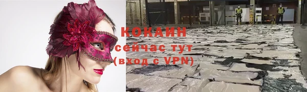 индика Бугульма