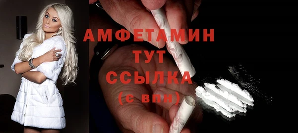 индика Бугульма