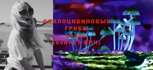 гашик Бронницы